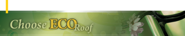 Choose Eco Roof